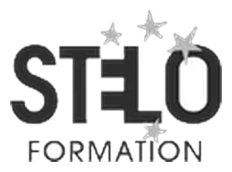 logo_stelo_formation