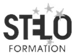logo_stelo_formation